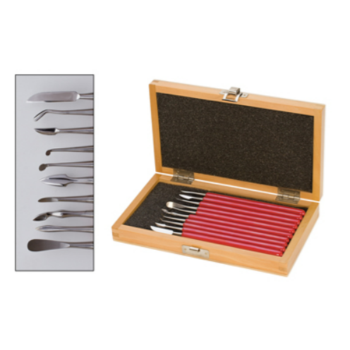 Deluxe 10pc Carver Set with Box