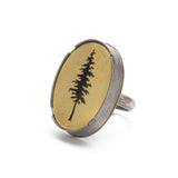 Pierced Tree Ring