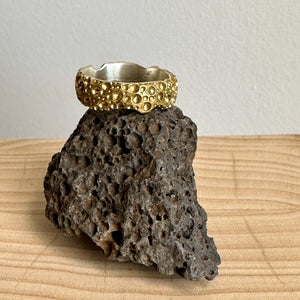 Vesicular Basalt Ring