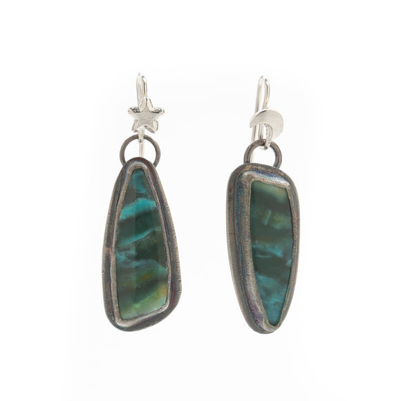 Blue Opal Petrified Wood Drop Earrings