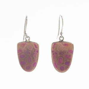 Dyed Orbicular Jasper Drop Earrings