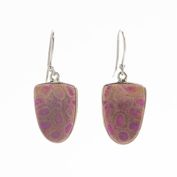 Dyed Orbicular Jasper Drop Earrings